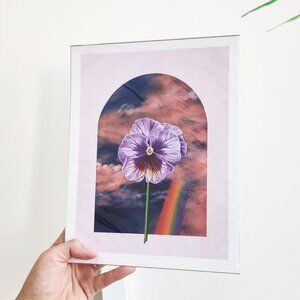 Magical Rainbow Pansy Botanical Art Print